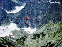 /album/priroda/a53-kopia-jpg/
